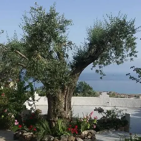 Azienda Agricola Caruso * Longbardi