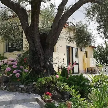 Farm stay Azienda Agricola Caruso